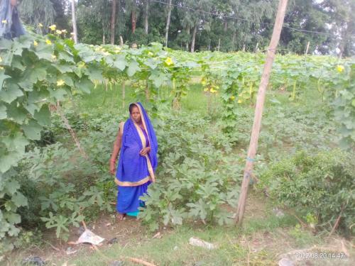 Kitchen-Garden