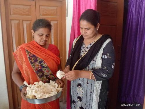 Mashroom-Cultivation-2