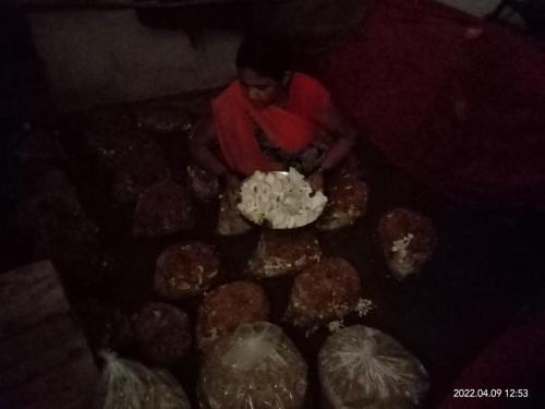 Mashroom-Cultivation-3